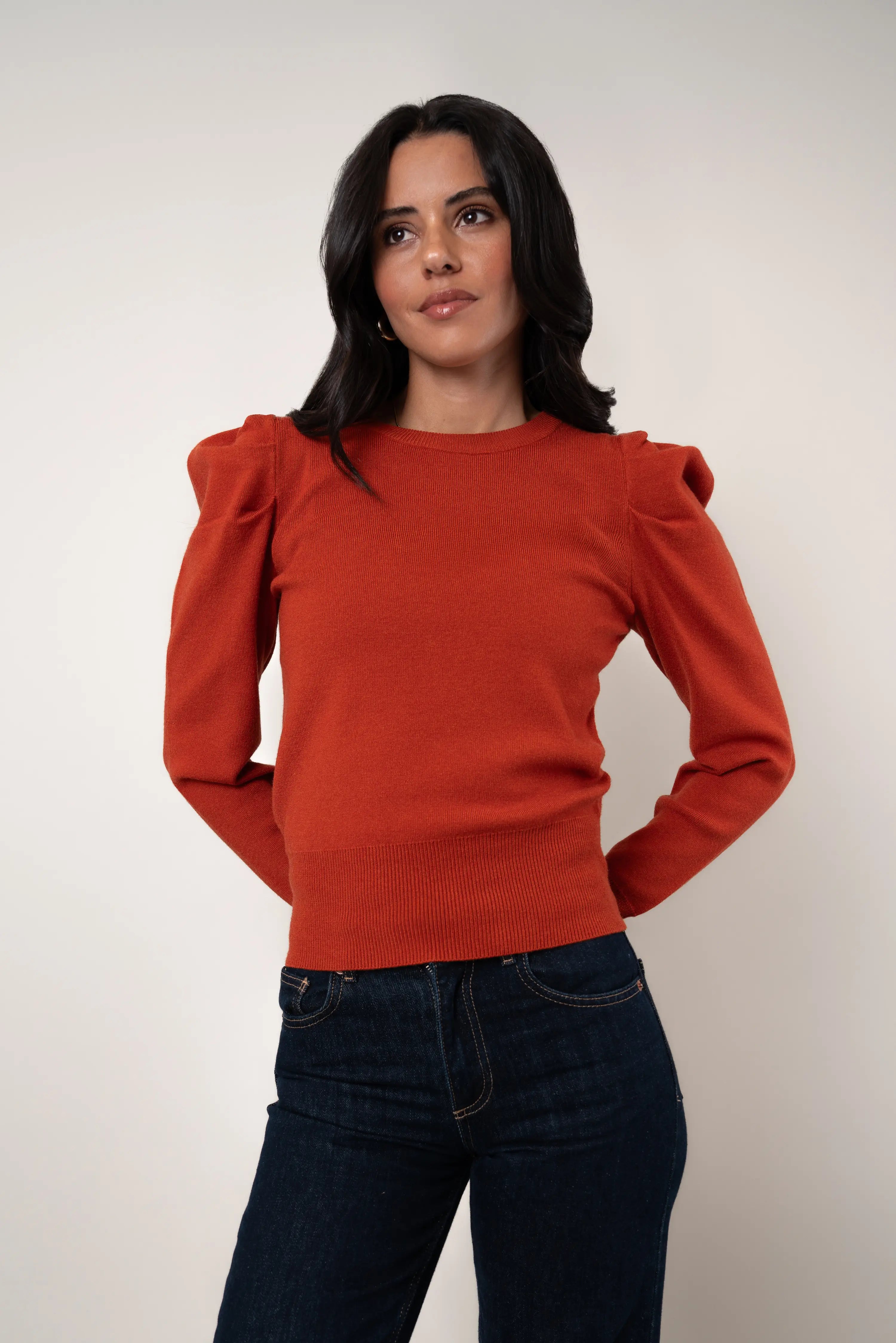 The Puff Sleeve Sweater